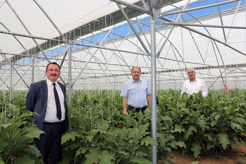 Erzincan'da seracılık hızla gelişiyor