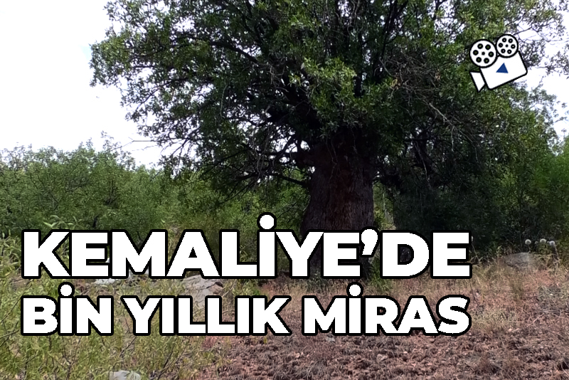 Kemaliye'de bin yıllık miras