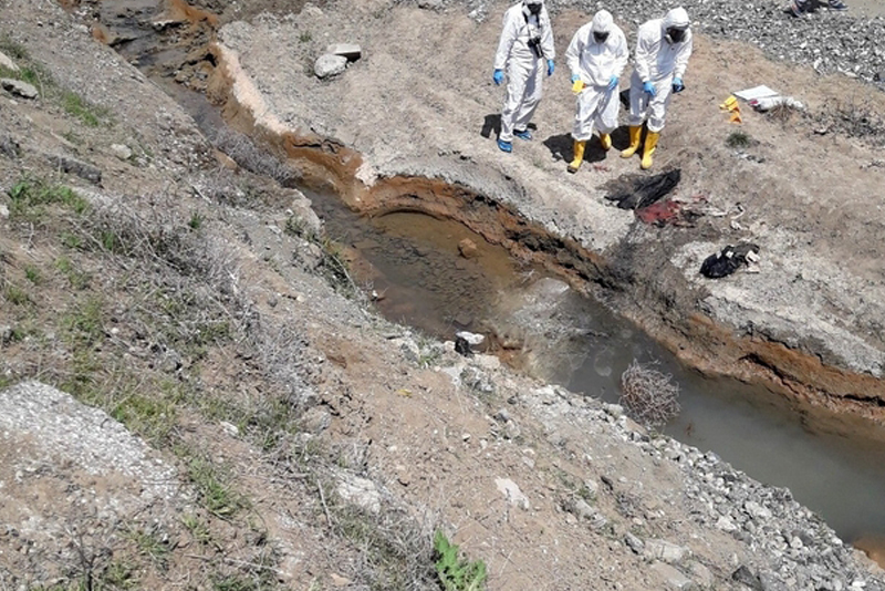Erzincan'da erkek cesedi bulundu