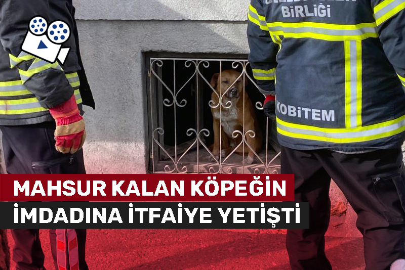 Mahsur kalan köpeğin imdadına itfaiye yetişti