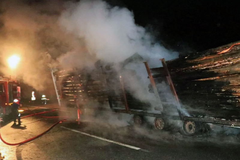 Ağaç yüklü TIR alev alev yandı