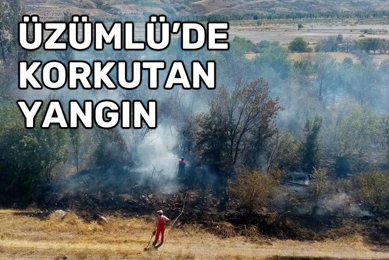 Üzümlü'de korkutan yangın